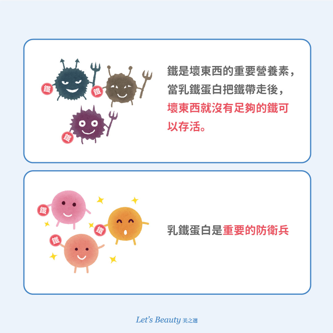 乳鐵蛋白的功效作用圖:乳鐵蛋白可把壞菌病毒需要的鐵吸走