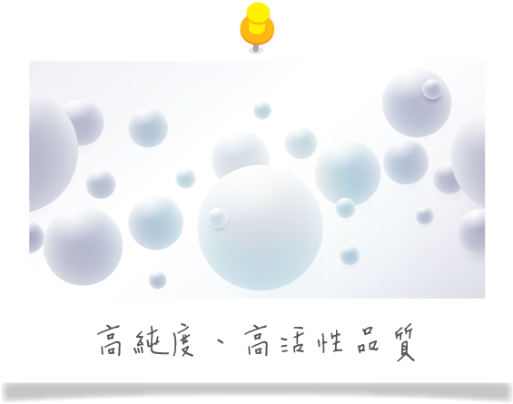 高品質的乳鐵蛋白具有高活性特色