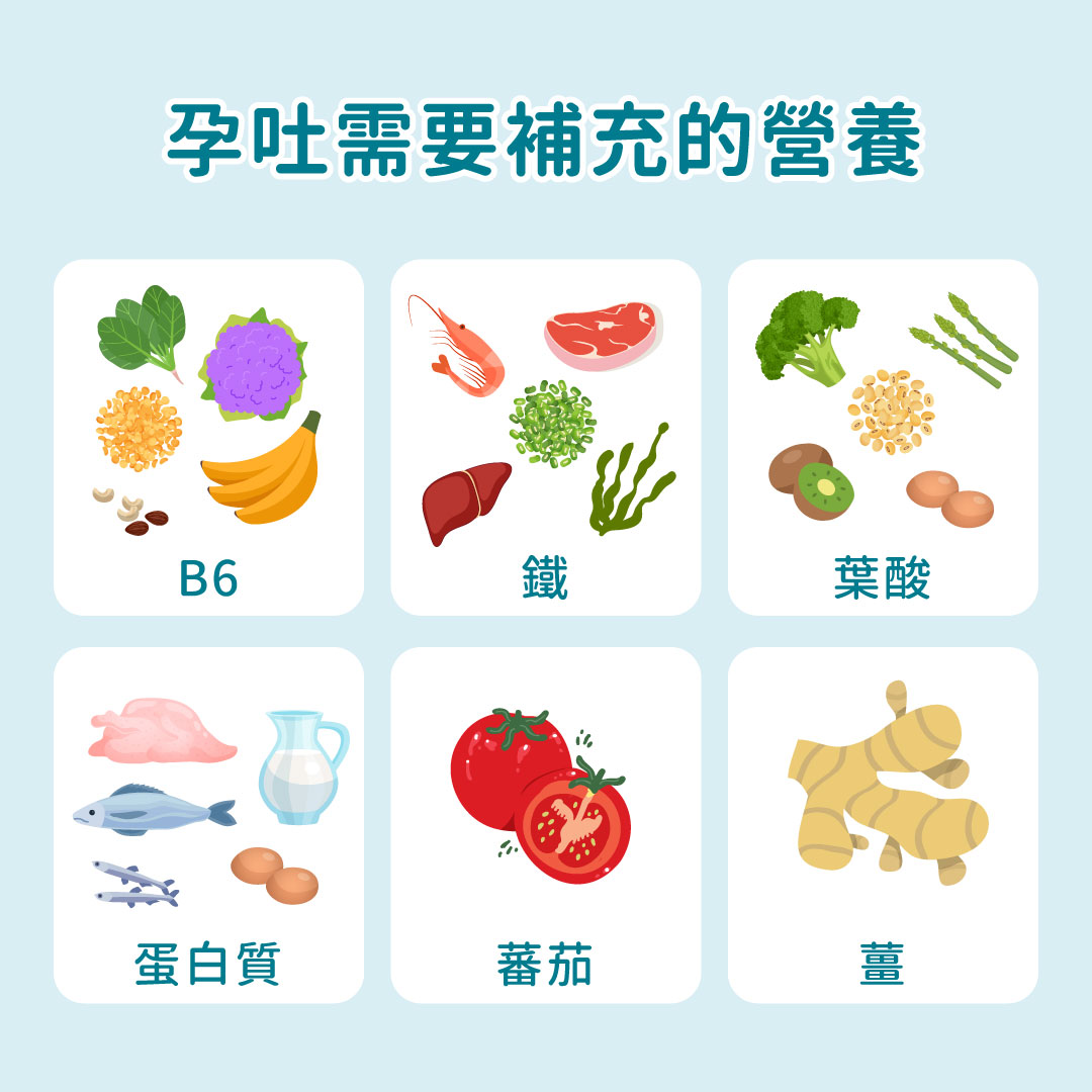 孕吐期間如何補充維生素B6、鐵、葉酸的食物圖鑑