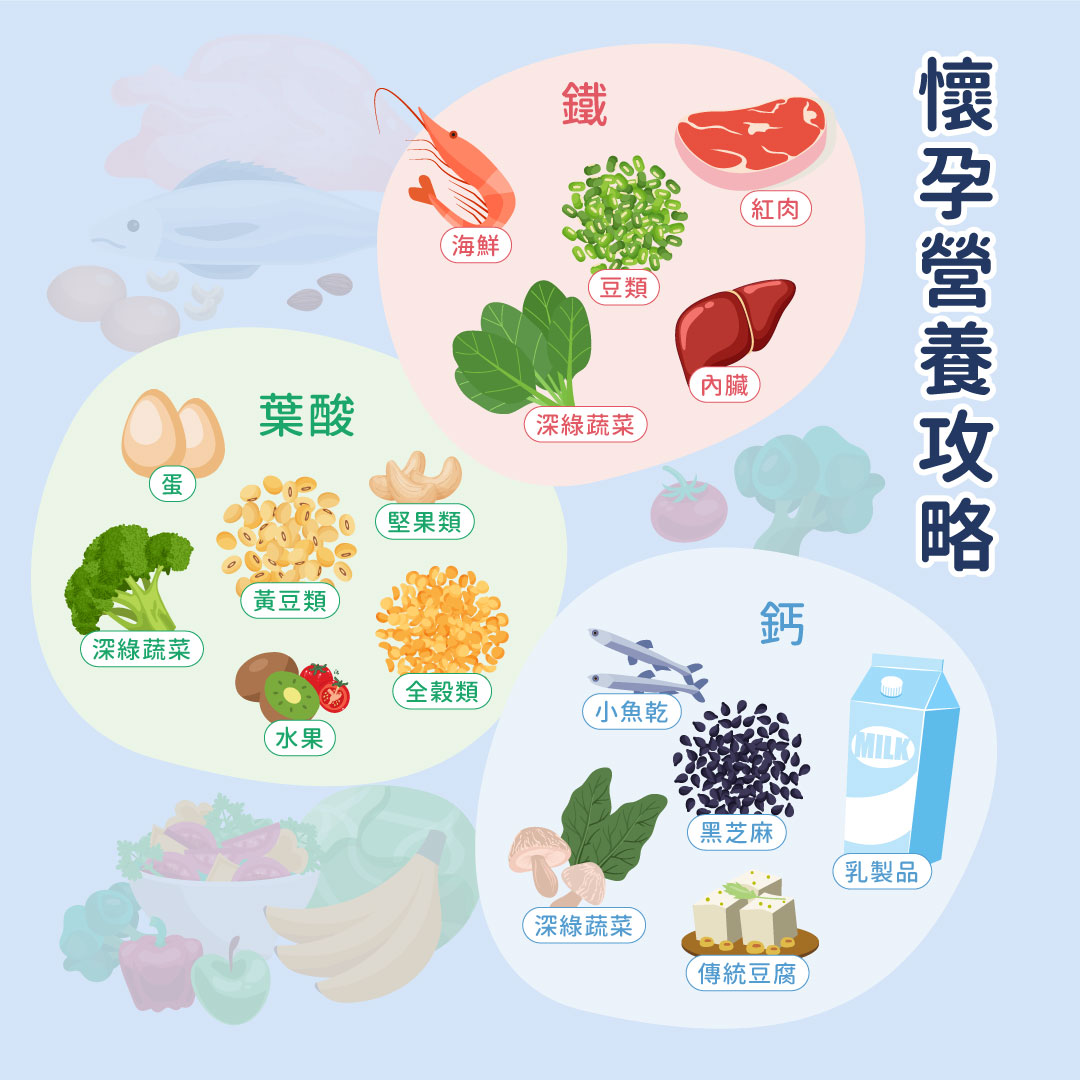懷孕營養攻略:富含鐵質、葉酸及鈣質的食物圖
