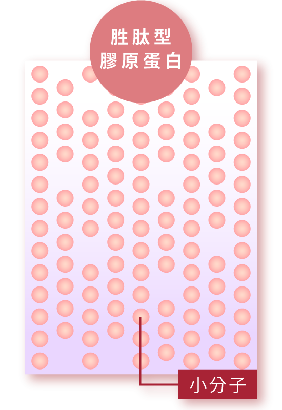 小分子量的膠原蛋白