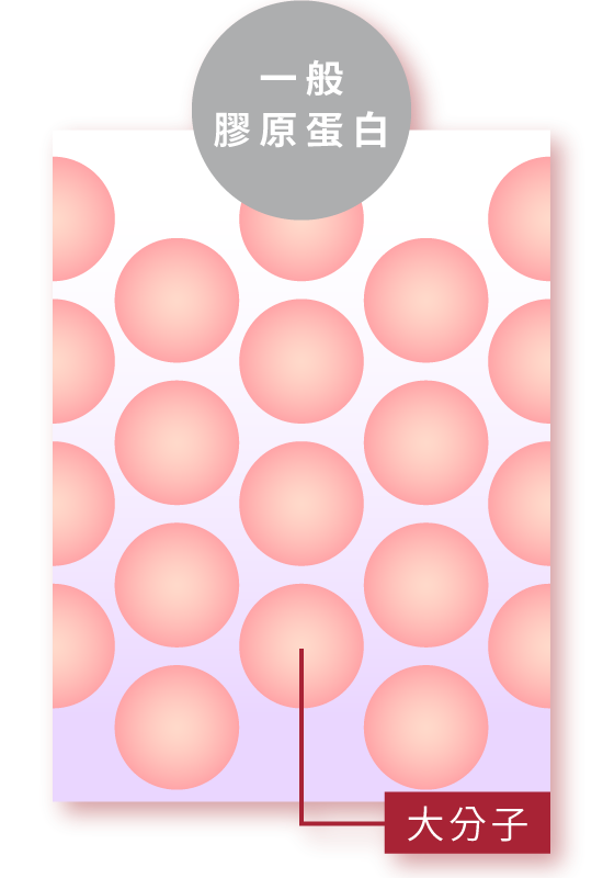 大分子膠原蛋白不好吸收