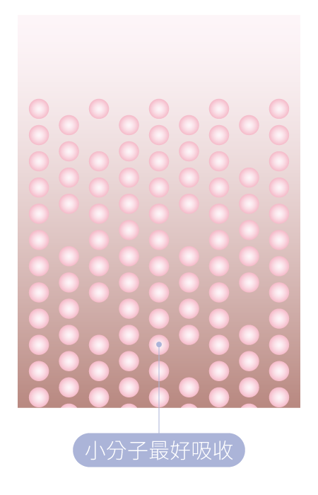 膠原蛋白胜肽小分子好吸收圖