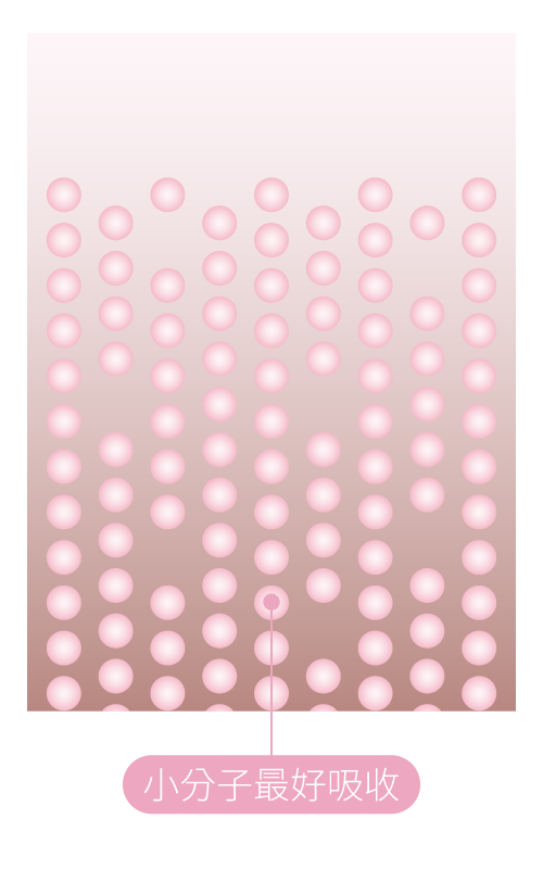 小分子膠原蛋白比大分子的膠原蛋白更好吸收