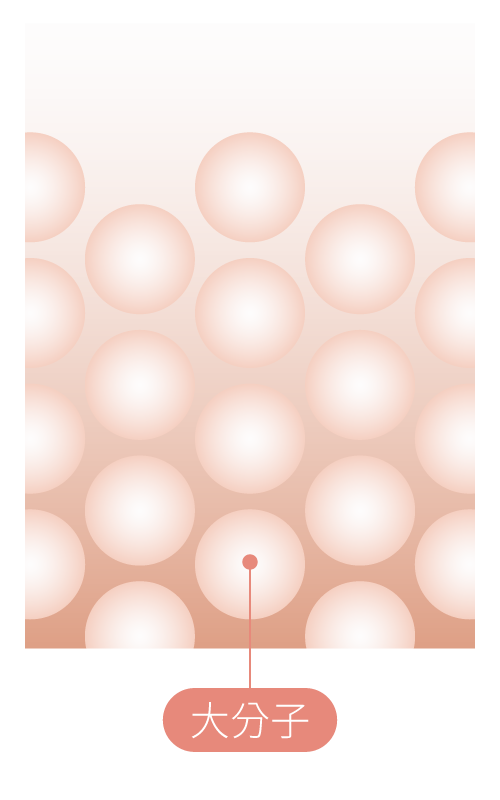一般食物中的膠原蛋白分子量大不好吸收