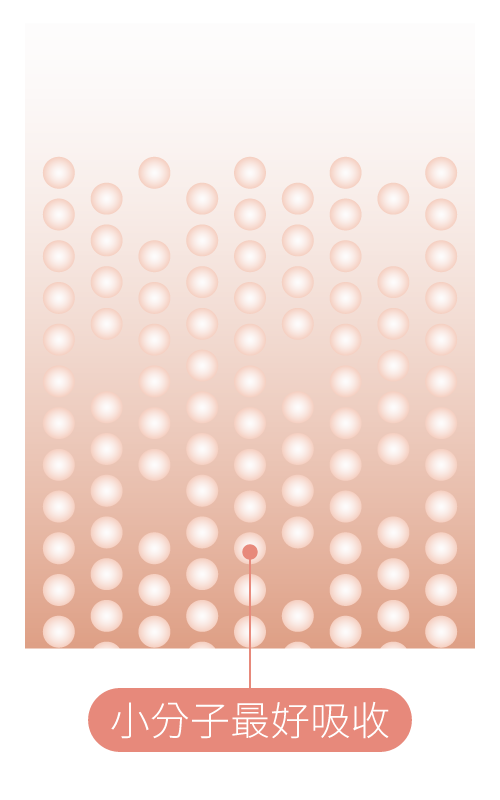 日本新田POOG二胜肽小分子好吸收