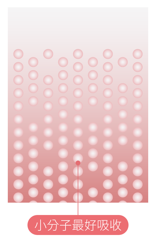 膠原蛋白低分子量圖