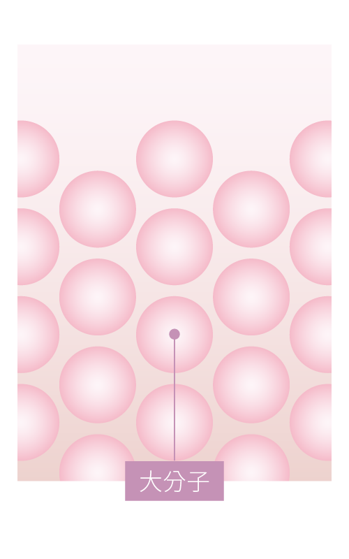 一般膠原蛋白分子量大