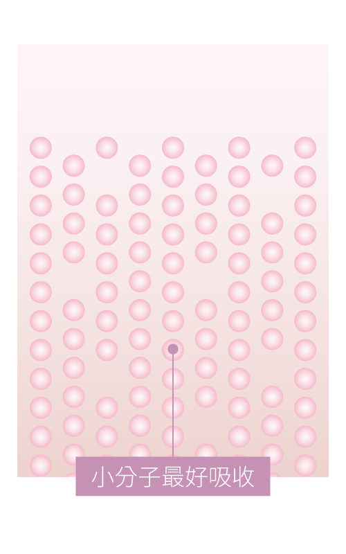 水解型膠原蛋白分子量小好吸收