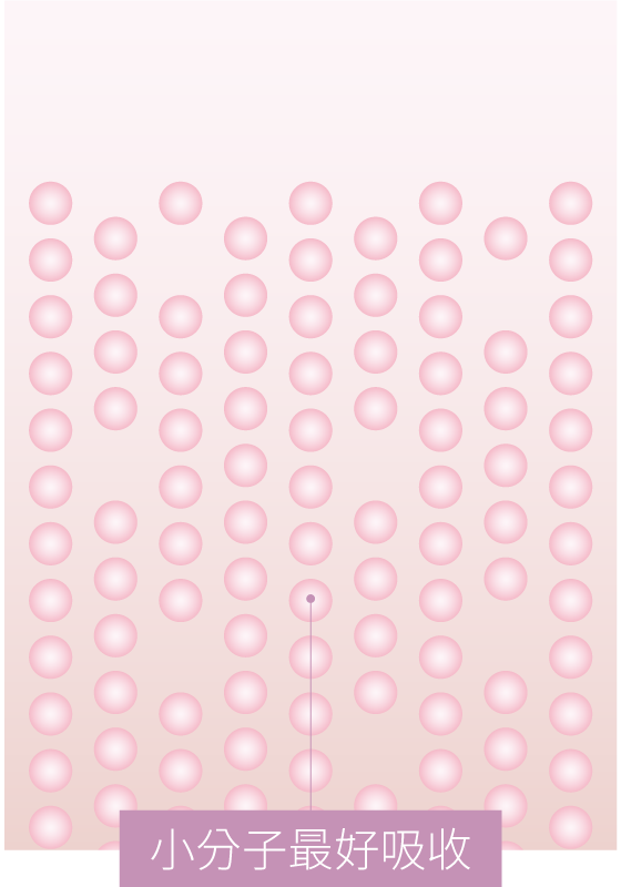 POOG胜肽型膠原蛋白小分子吸收率說明圖