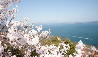 春之感觸 2019年  4月26日［星期五］—5月26日［星期日］31天