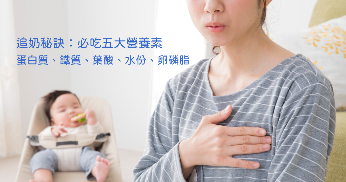 追奶必吃5大營養：蛋白質、鐵質、葉酸、水分及卵磷脂
