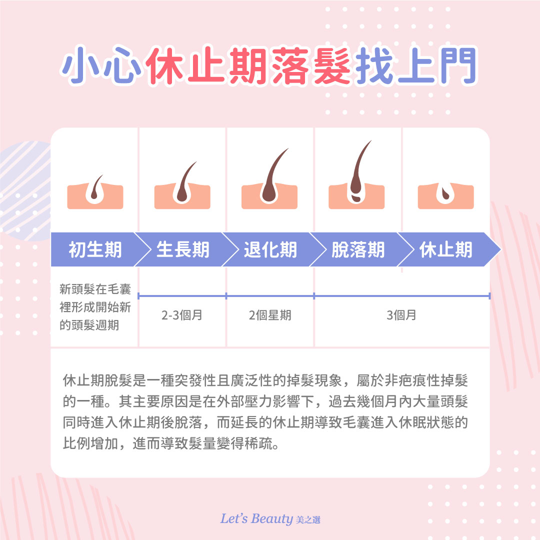 產後小心休止期掉髮找上門圖解：初生期、生長期、退化期、脫落期、休止期