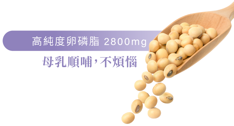 大豆卵磷脂有助於母乳發奶，不塞奶，不濃稠