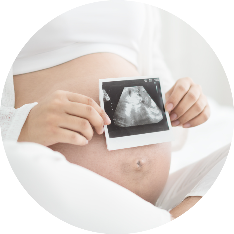 懷孕7個月以上可吃卵磷脂