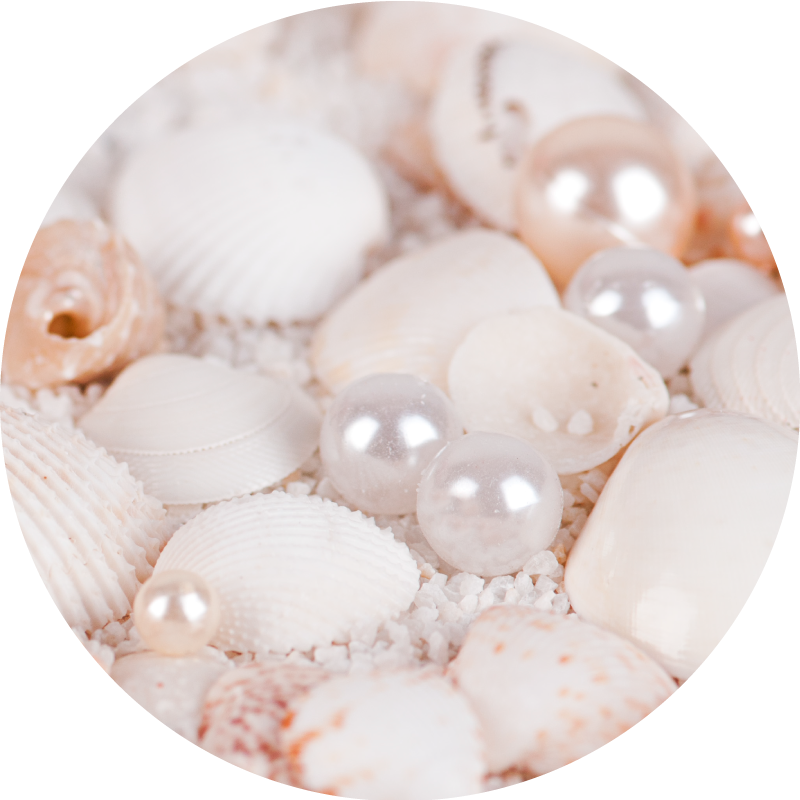 珍珠粉含珍珠鈣、珍珠蛋白,提昇母乳營養