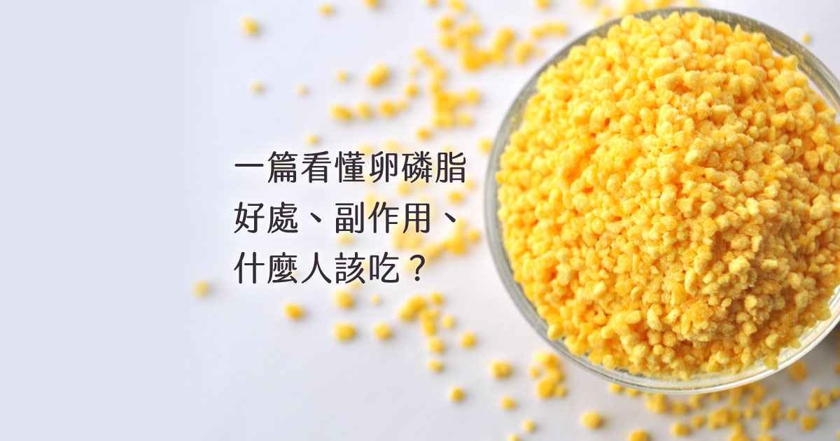 一篇看懂卵磷脂！有什麼好處、副作用、什麼人該吃？