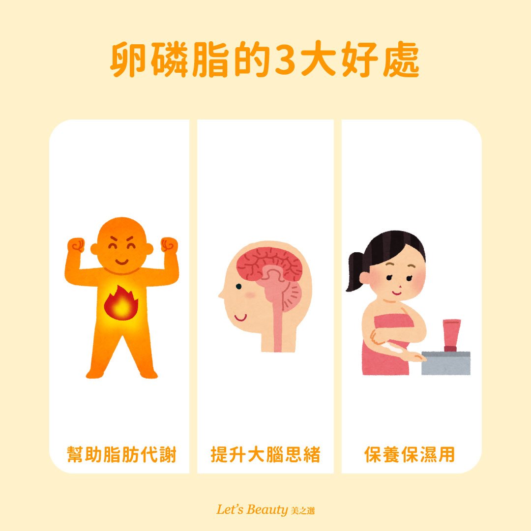 卵磷脂有3大好處圖