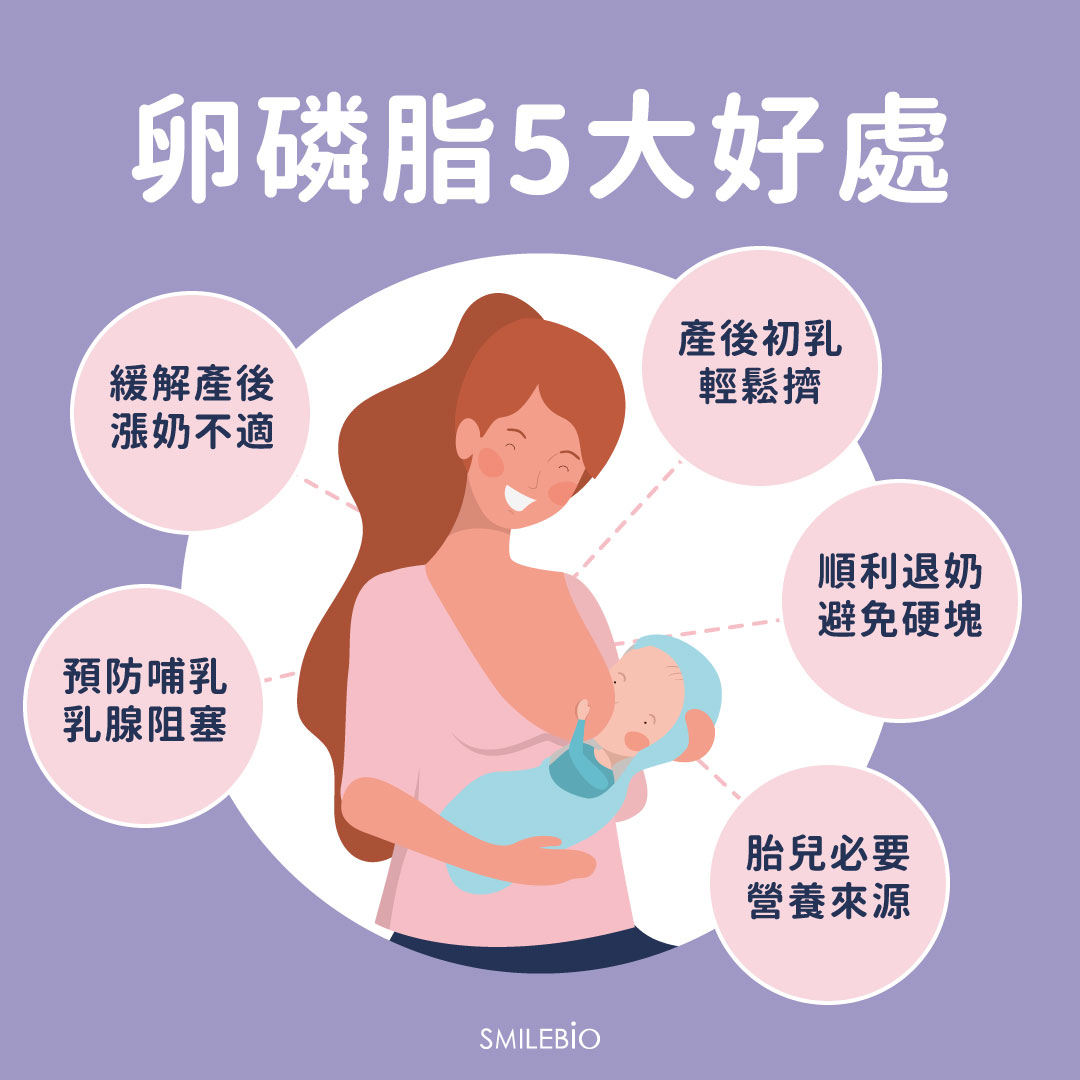 補充卵磷脂對母乳的 5 大功效