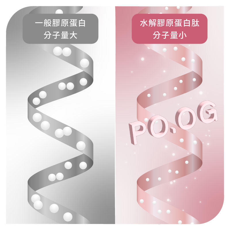 POOG膠原蛋白肽好吸收圖