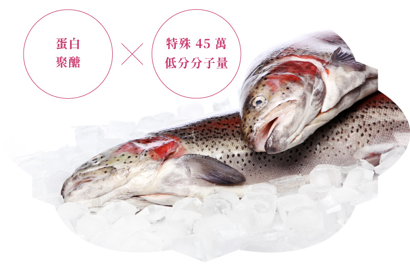 鮭魚鼻軟骨萃取高規格 1% 濃度