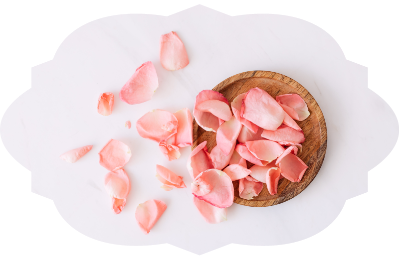 1,350,000朵玫瑰花瓣萃取多酚