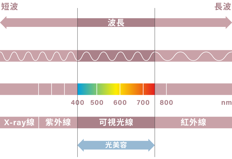 LED 光波波長圖:660nm紅光是可視光,又稱美容光